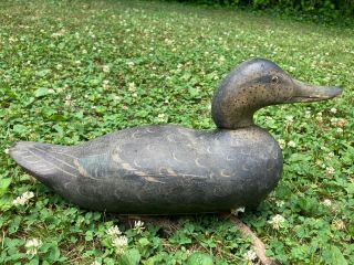 Antique 19th Century Primitive Wooden Duck Decoy From Bucks County 1800s