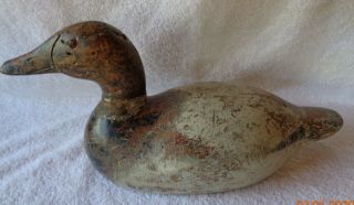 Old Wooden Premier Mason Canvasback Duck Decoy