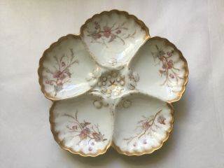 Antique Porcelain Oyster Plate C.  1886 - 1910