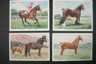 Cigarette Tobacco Cards Players And Wills Horses 4 Cards