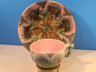 Antique Shell And Seaweed Majolica Cup And Saucer C.  1800 