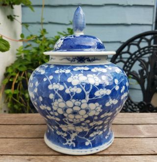 Old Antique Chinese Porcelain Lidded Jar Vase Prunus Decoration Kangxi Circle