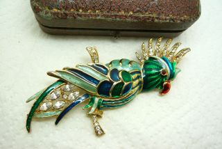 Vintage Jewellery Enamel Cockatiel Tropical Bird Brooch Pin