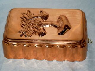 Vintage Large Copper Tin Lined Cooking Jello Food Mushrooms Mold W/ Brass Hook
