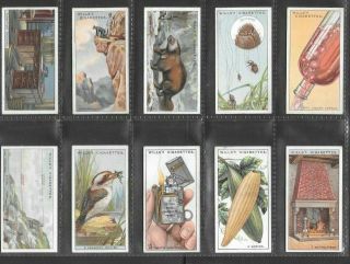 WILLS 1926 INTERESTING (KNOWLEDGE) FULL 50 CARD SET  DO YOU KNOW 3rd 3