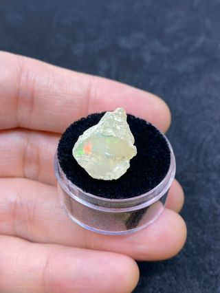Lovely,  Fiery Rough Opal Piece In Gem - Jar - 1.  5 Grams - Vintage Estate Find