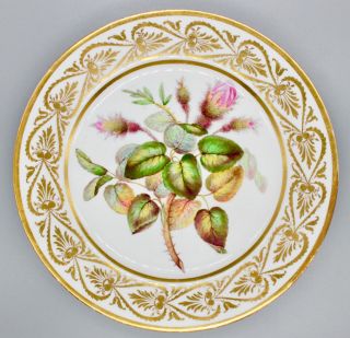 Antique French Or British Hand Painted Rose Porcelain Plate,  Antique Derby Cream