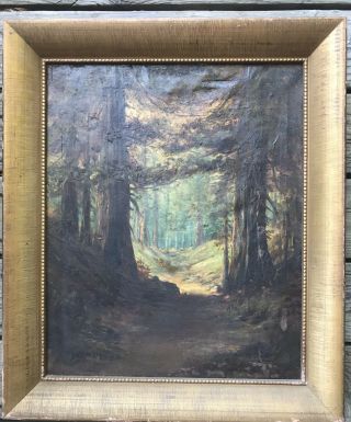 Forest Trees Pine Wood Land Large Vintage Painting Oil On Canvas Framed Antique