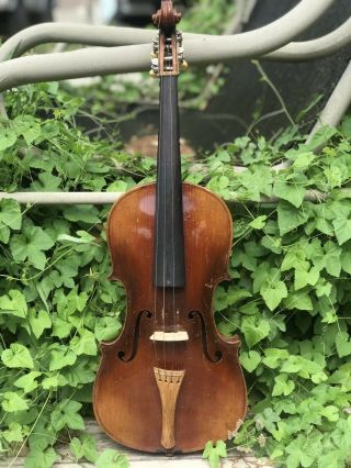 Antique,  Old,  Violin 4/4