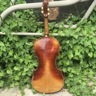 Antique,  Old,  Violin 4/4 2