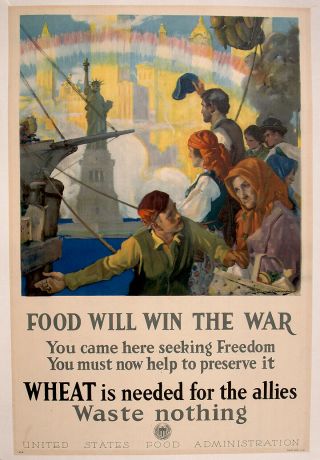 1917 Powerful C.  E.  Chambers Wwi Patriotic Poster Food Will Win The War Iconic