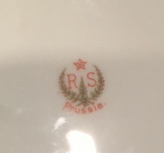 RARE Antique R.  S.  Prussia Melon Eaters Bowl 3