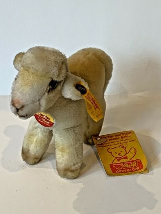 Vintage Steiff " Lamby Lamb " 1527/12 With Tags 5 " Tall