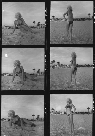 Vintage 1960s Bunny Yeager Contact Sheet 12 Photographs Charlene Mathies Bikini 2