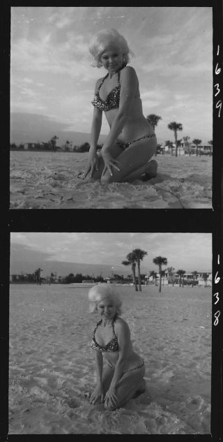 Vintage 1960s Bunny Yeager Contact Sheet 12 Photographs Charlene Mathies Bikini 3