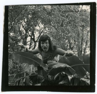 Bunny Yeager Vintage Bettie Page Photograph 1954 Campy Sexy Sheena Jungle Girl