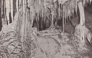 Vintage Postcard Nsw Government Tourist Bureau Limestone Cave Series 1900s