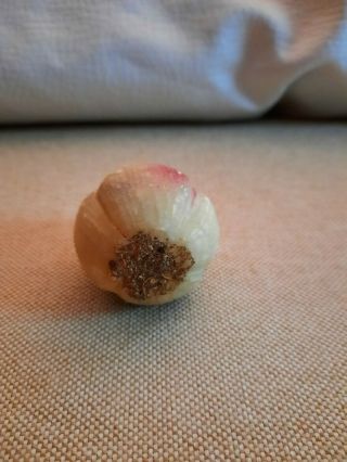 Vintage Stone Alabaster Fruit Onion 2