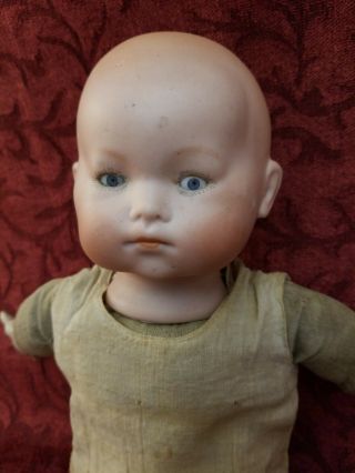 Antique German Bisque Solid Dome Head Baby Phyllis Doll 240 Cloth Body 13 Inches