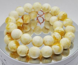 72.  60g 33bead Antique Formed White Boney Baltic Amber Butterscotch Bead Necklace