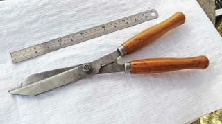 Vintage Ladies Small Garden Shears In Fully
