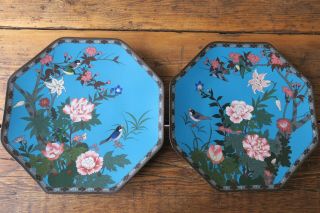 Pair Antique Japanese Meiji Cloisonné Octagonal Plate Charger Birds Flowers 12in
