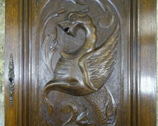 Large French Antique Carved Solid Oak Wood Door Panel Dragon - Griffin Gargoyle