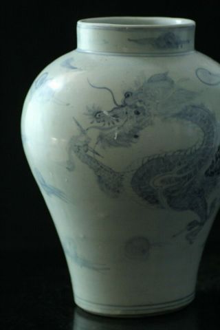 Jun071f Korean White Blue Porcelain Big Vase Pot Bottle Dragon Cloud B7