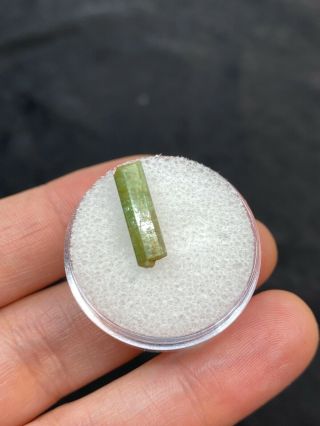 Lovely Little Rough Emerald Gemstone In Gem Jar - 2.  70ct - Vintage Estate Find