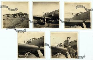 Wwii Japanese Aircraft Ki - 84 Frank Captured Japan 1945 5 Photos