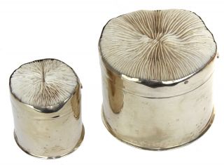 Vtg/antique Set Of 2 Silver Plated Circular Boxes W/mushroom Reef Coral Inset