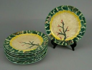 9 Antique Wedgwood Majolica Plates Coral Seaweed Pattern 8 3/4 "