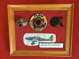 Historic 1942 Ju - 87 " Stuka " Artifacts From Crash Landing Nr.  Motovsky Bay,  Russia