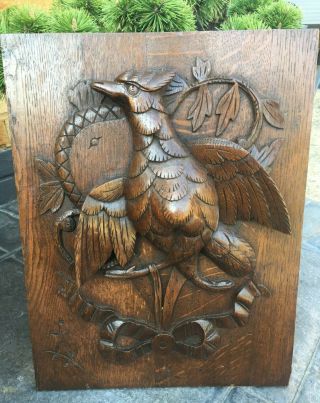 Antique Carved Oak Panel Plaque Roc Bird High Relief Foliate Qty Large & Unusual