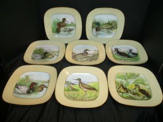 ANTIQUES HAND PAINTED FRENCH M REDON LIMOGES 8 DIFFERENT GAME BIRD SQUARE PLATES 2
