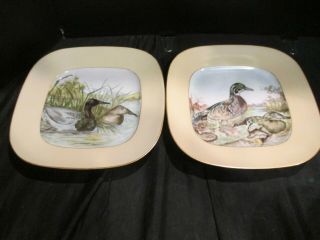 ANTIQUES HAND PAINTED FRENCH M REDON LIMOGES 8 DIFFERENT GAME BIRD SQUARE PLATES 3