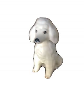 Vintage Bone China White Poodle Dog Figurine 3.  5 " Statue Sitting