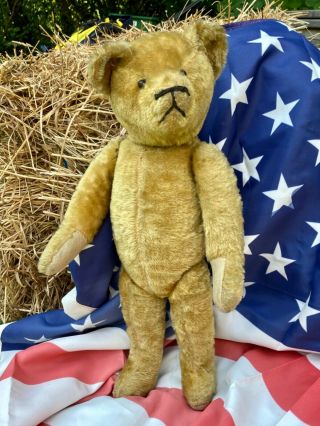 19” Antique Early American 1910s Mohair Teddy Bear,  Boot Button Eyes,  Excelsior