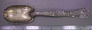 Antique Tiffany & Co. ,  Vine (1872) Sterling Silver 8 7/8 " Large Preserve Spoon