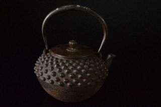 Z6742: Japanese Xf Iron Arare Pattern Silver Inlay Tea Kettle Teapot Tetsubin