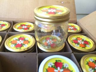 Vintage Kerr Country Kitchen Jelly Jars 1/2 Pint Box Of 12