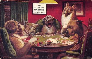 Knoxville Tennessee Hackney Coal Co Dogs Playing Poker Vintage Postcard Aa15479