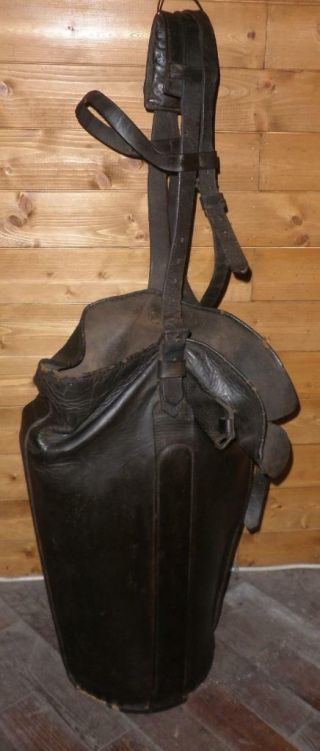 Antique Leather Horse 
