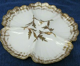 Antique T&v Limoges French Porcelain Gold Trim Oyster Plate 1892 - 1917