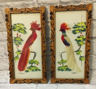 Pair Vtg Mexican Folk Art Feathercraft Bird Feather Pictures Carved Cedar Frame
