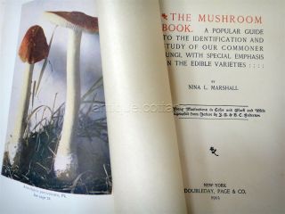 1903 Antique The Mushroom Book Guide Id Illustrated Color And B/w Plates