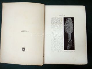 1903 antique THE MUSHROOM BOOK guide id illustrated color and b/w plates 3