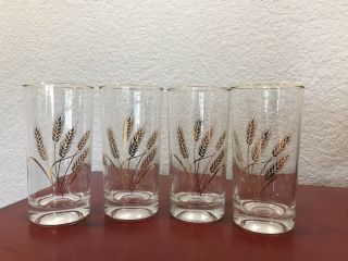 Set Of 4 Vintage Homer Laughlin Golden Wheat 12 Oz Tumbler Glasses Clear Lovely