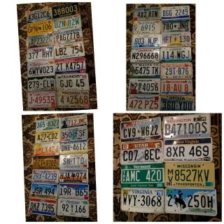 Complete Set 50 United States License Plates - All 50 Usa States