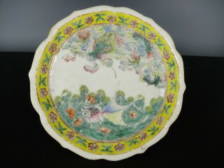 Rare Fine Chinese Porcelain Fencai Dish - Fish,  Dragon - 19th C.  Tongzhi Mark